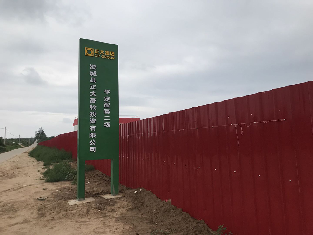 正大集團(tuán)正德配套二場氣站防雷檢測現(xiàn)場1